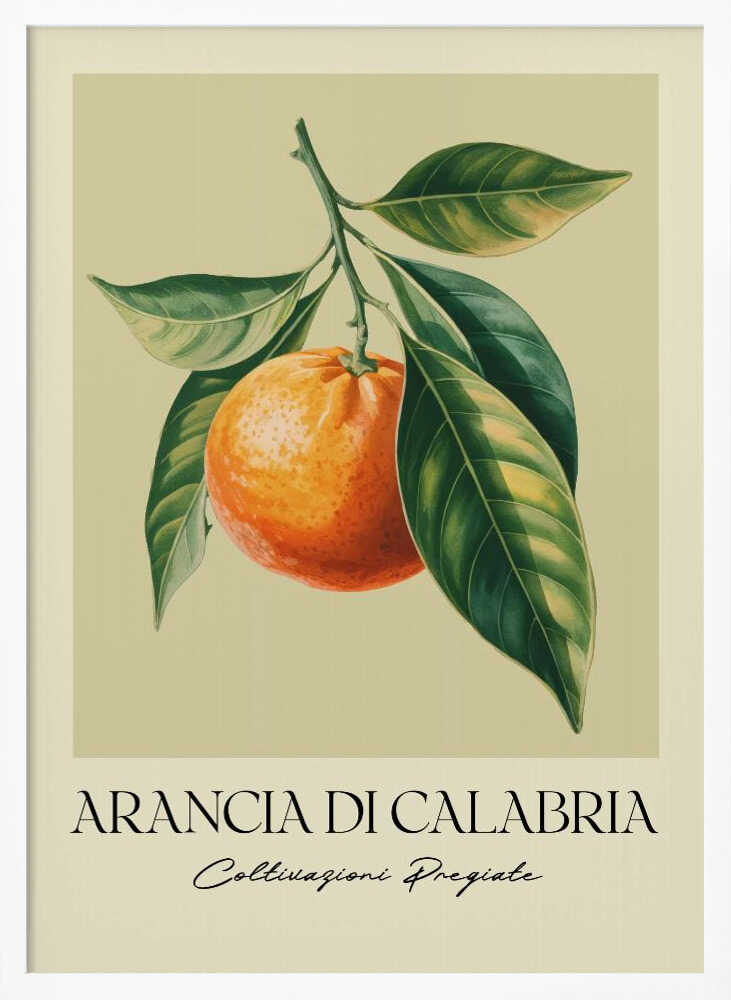 Arancia Di Calabria - Poster / Art Print
