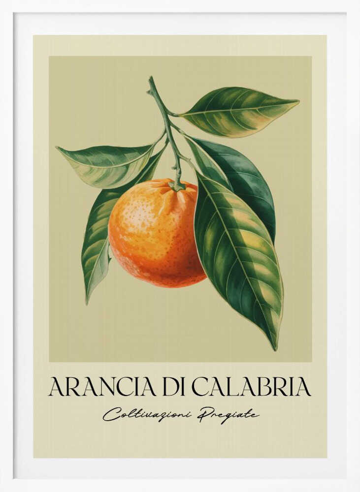 Arancia Di Calabria - Poster / Art Print