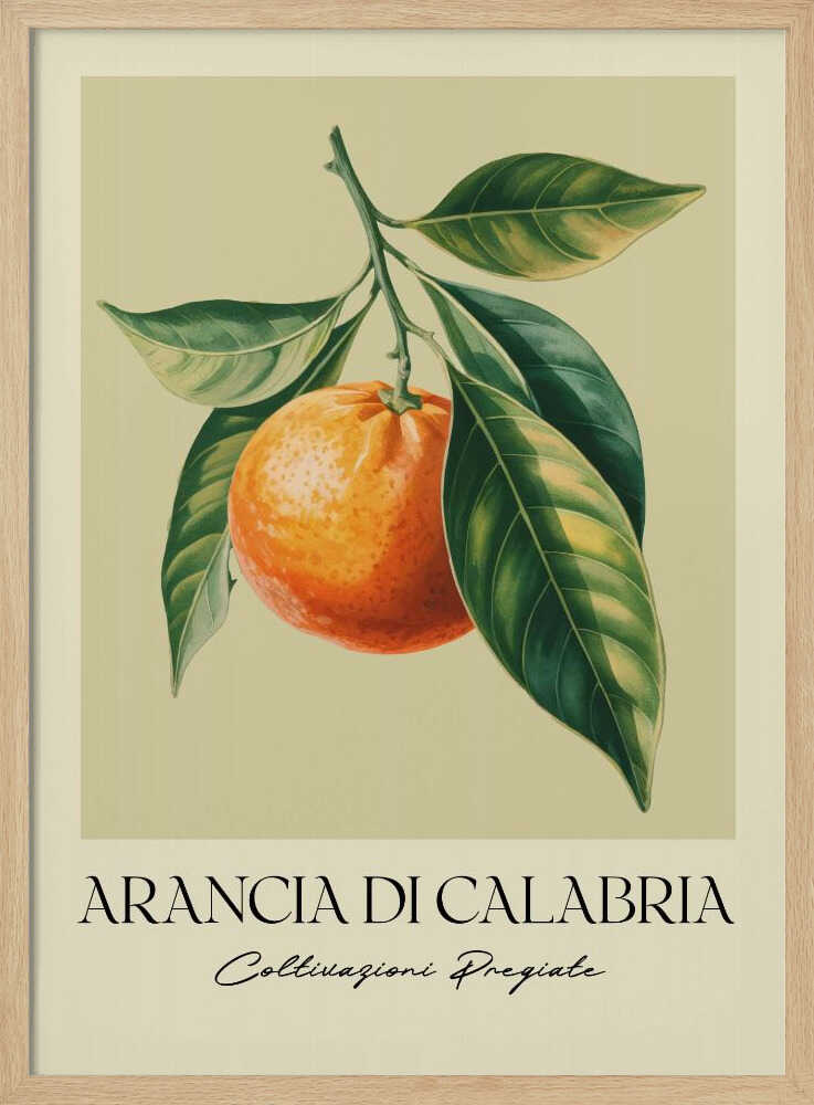 Arancia Di Calabria - Poster / Art Print