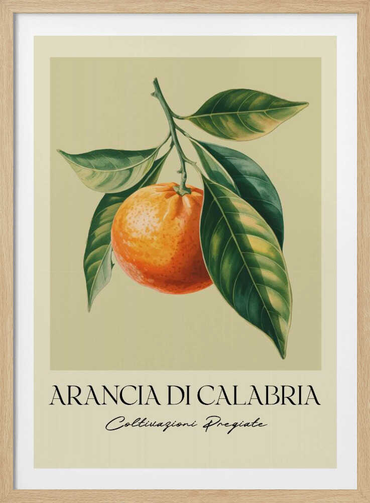 Arancia Di Calabria - Poster / Art Print