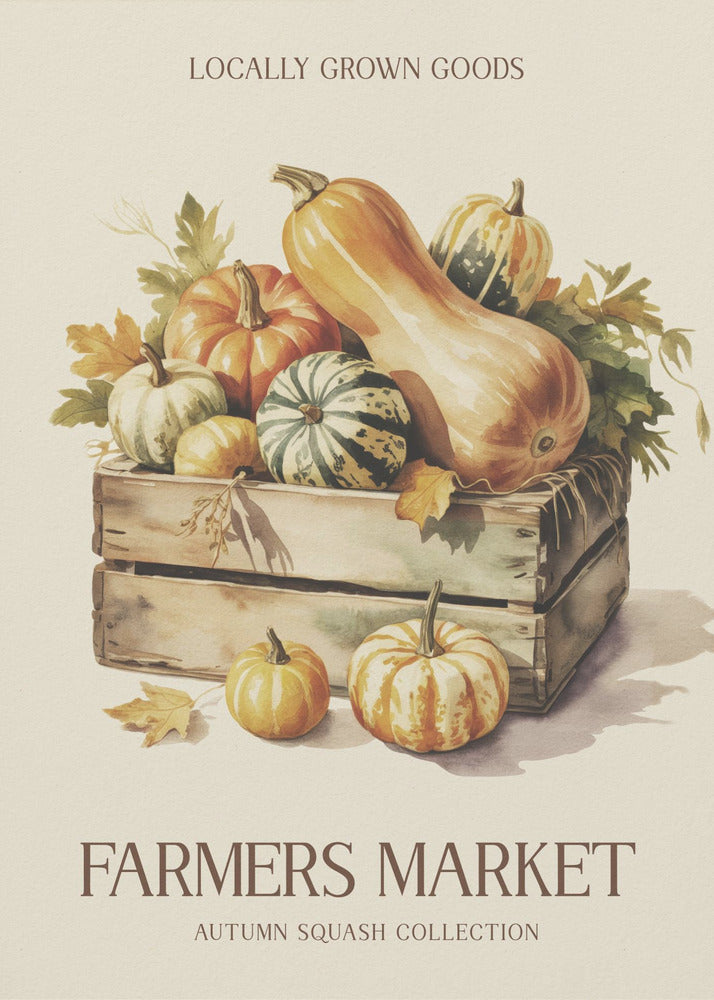 Farmers Market Squash - Poster / Art Print
