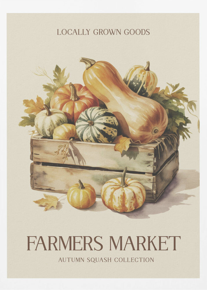 Farmers Market Squash - Poster / Art Print