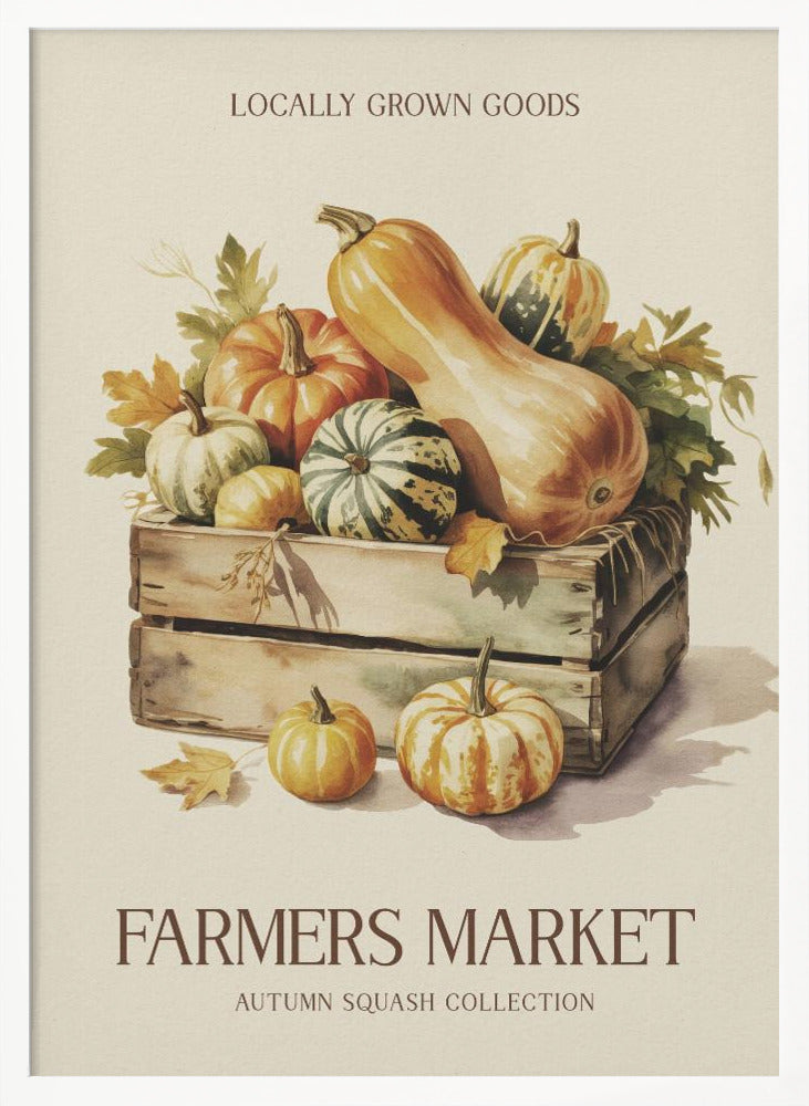 Farmers Market Squash - Poster / Art Print