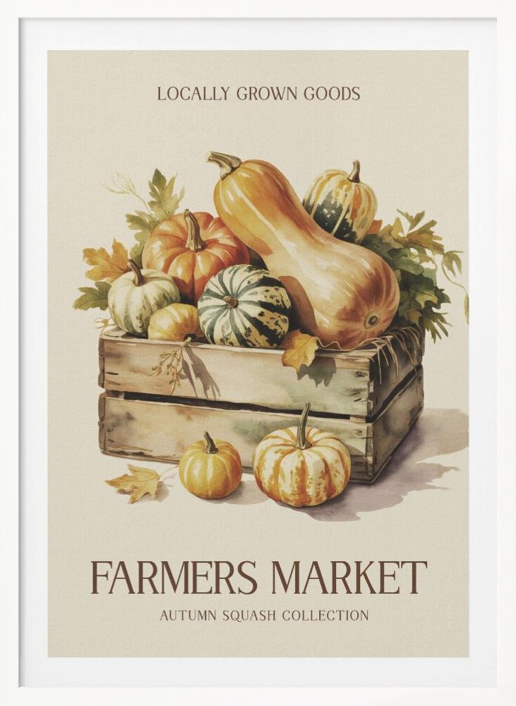 Farmers Market Squash - Poster / Art Print