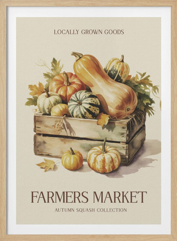 Farmers Market Squash - Poster / Art Print