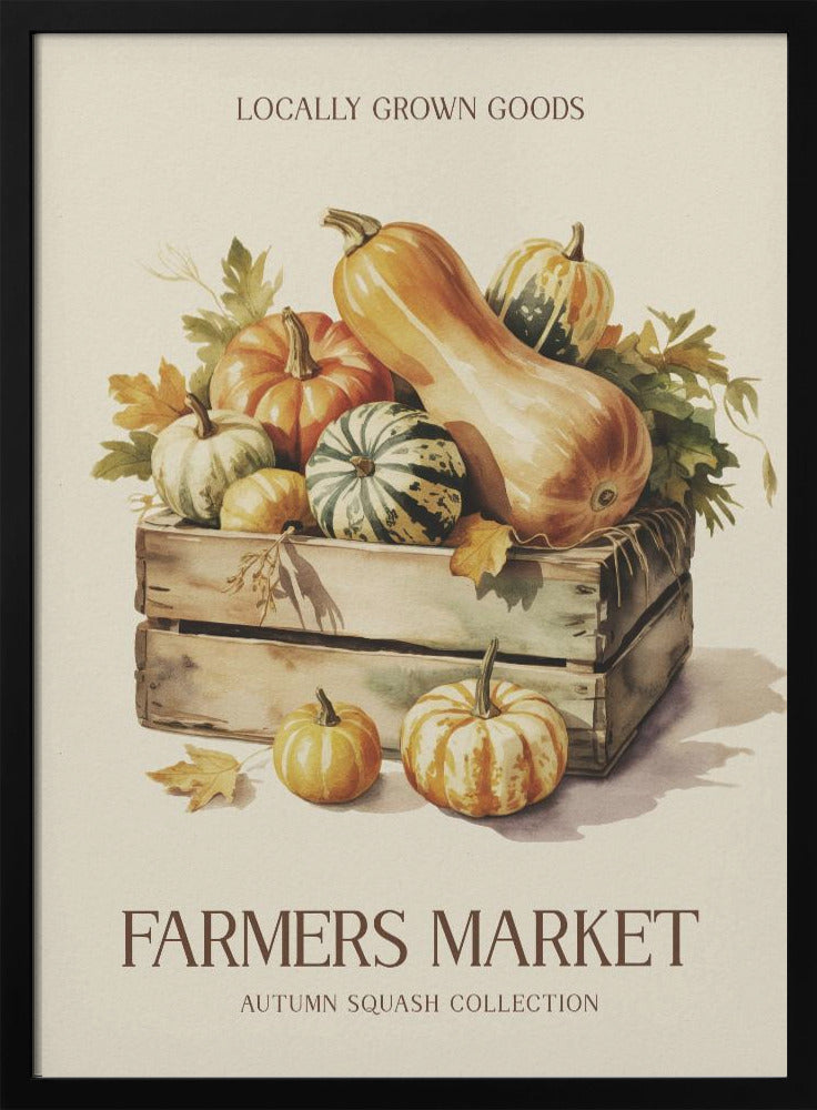 Farmers Market Squash - Poster / Art Print