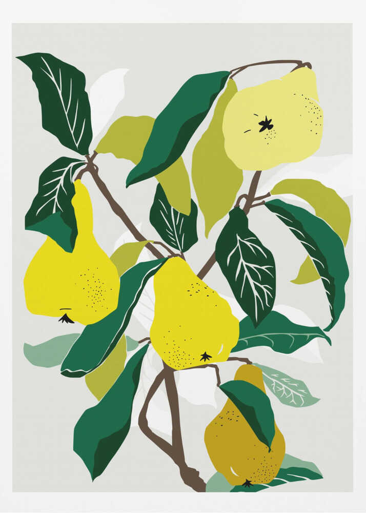 Yellow Pears - Poster / Art Print