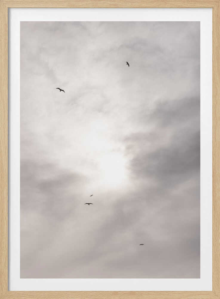 Silhouettes of birds flying across a bright, cloudy sky.