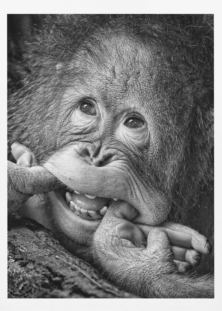 Big Smile.....please - Poster / Art Print