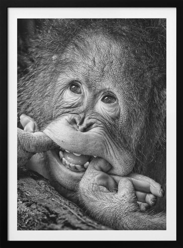 Big Smile.....please - Poster / Art Print