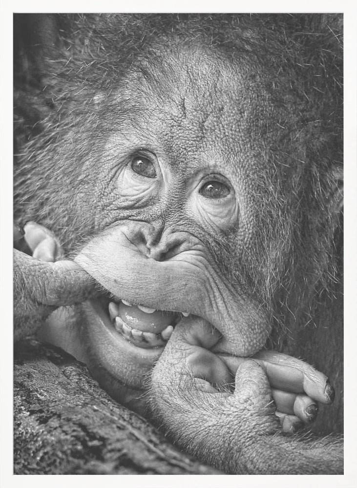 Big Smile.....please - Poster / Art Print