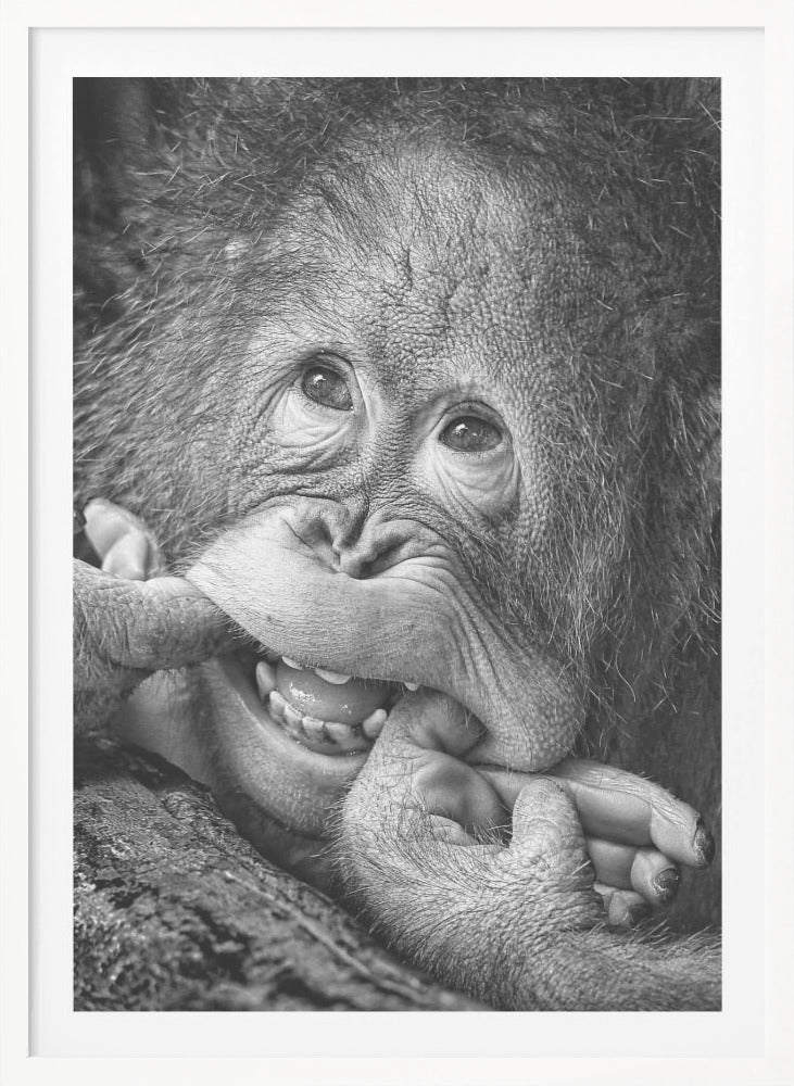 Big Smile.....please - Poster / Art Print
