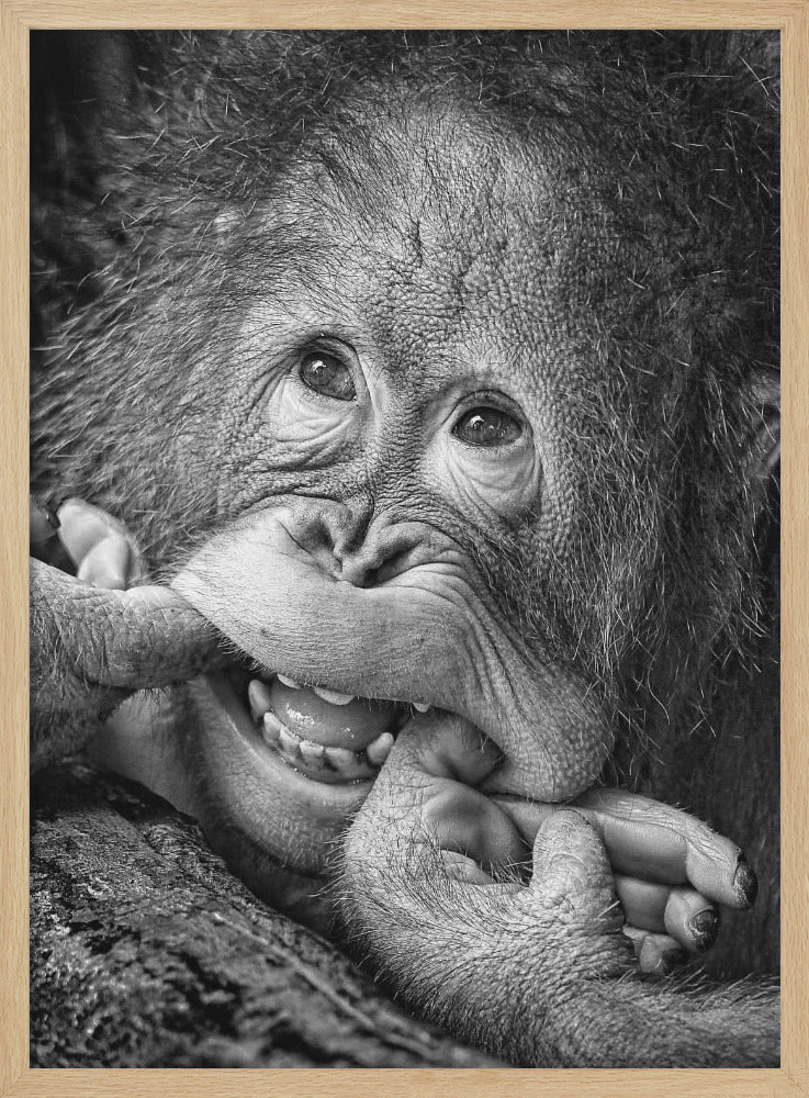 Big Smile.....please - Poster / Art Print
