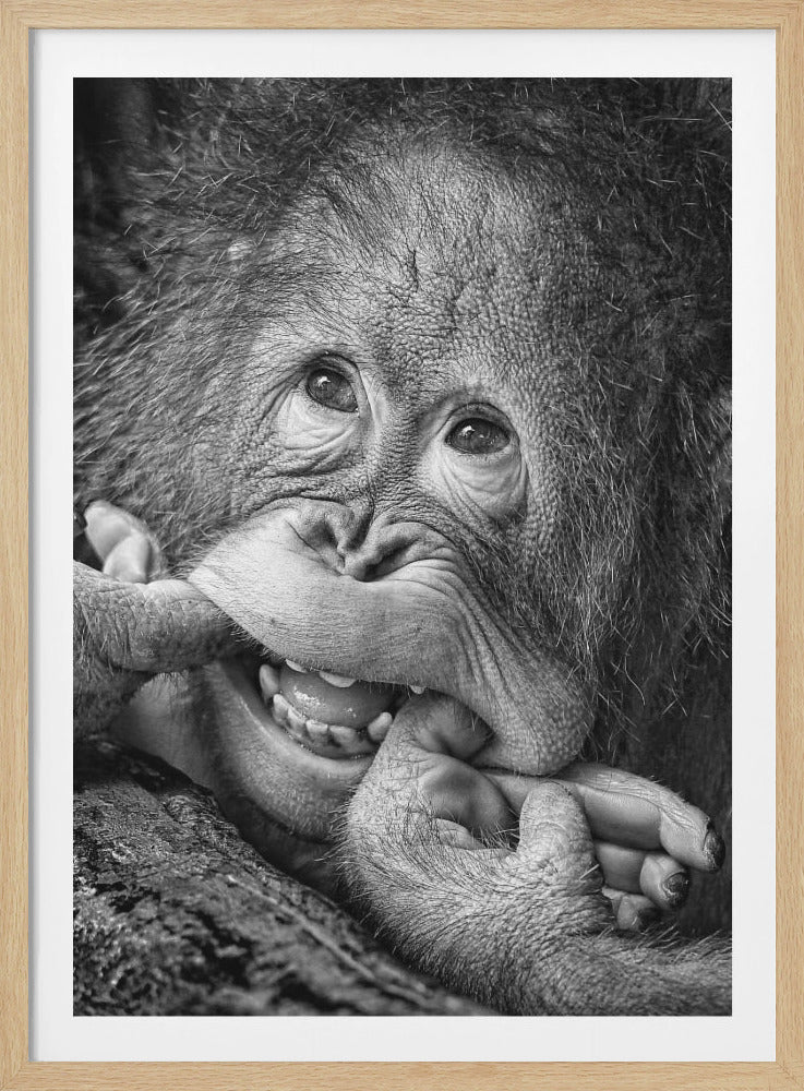 Big Smile.....please - Poster / Art Print