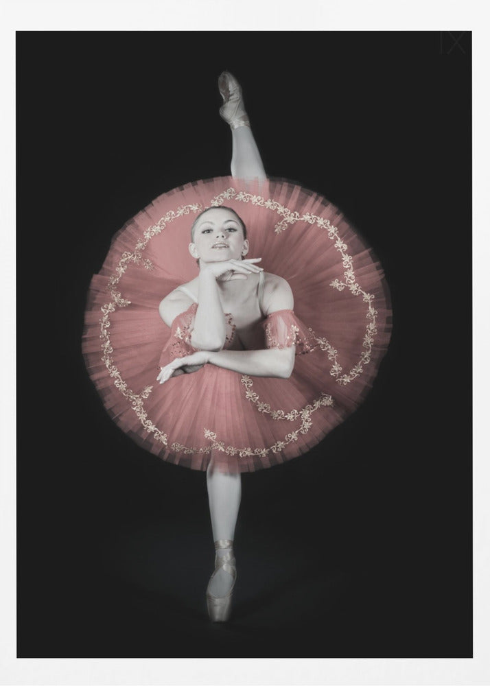 On Pointe - Poster / Art Print