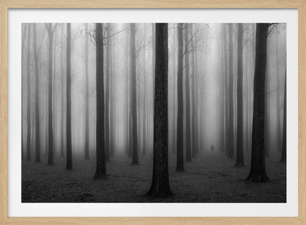 In a Fog - Poster / Art Print