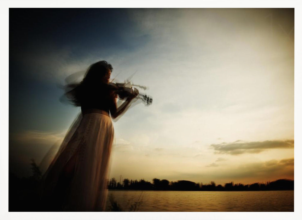 Sweet violin - Poster / Art Print