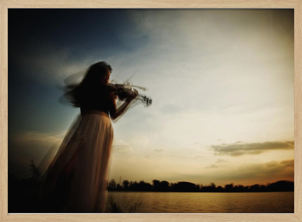 Sweet violin - Poster / Art Print