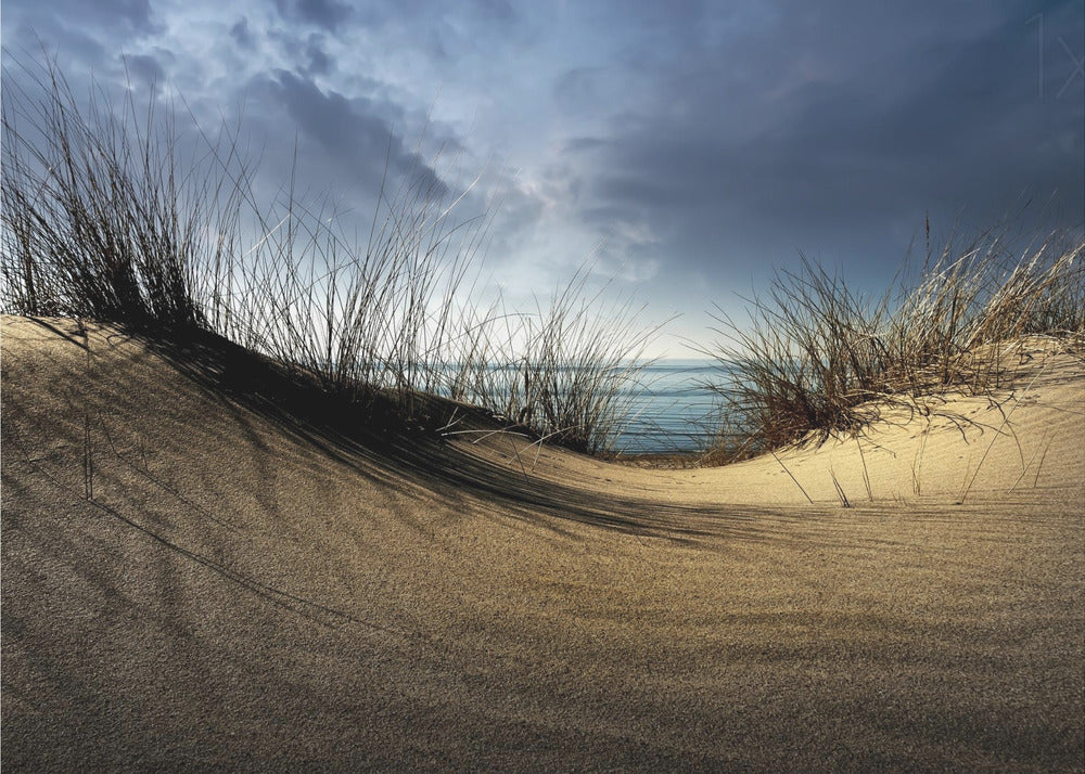 Dunes........... - Poster / Art Print