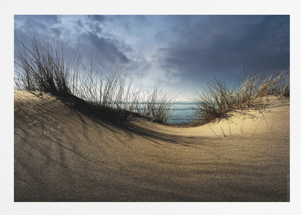 Dunes........... - Poster / Art Print