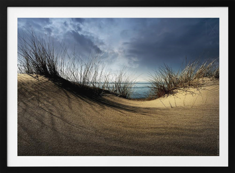 Dunes........... - Poster / Art Print