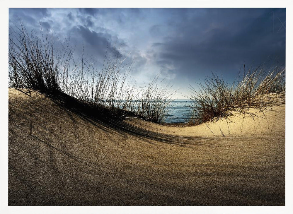 Dunes........... - Poster / Art Print