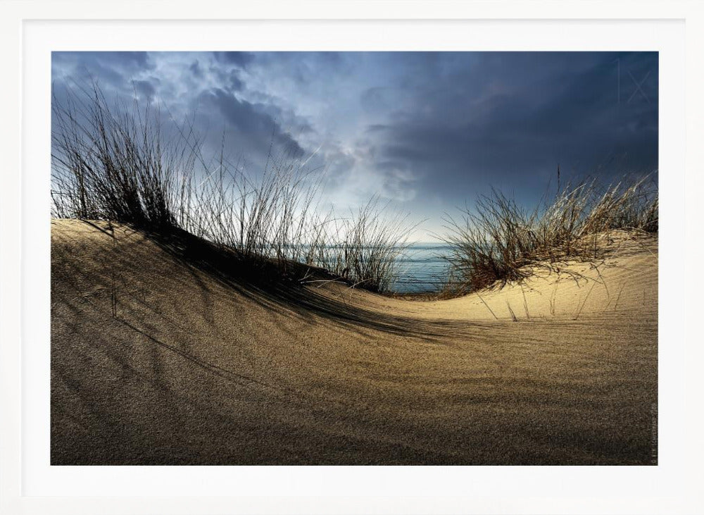 Dunes........... - Poster / Art Print