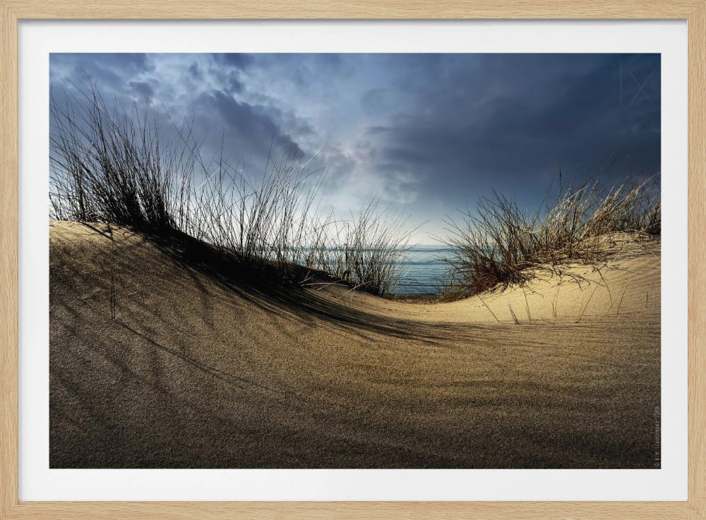 Dunes........... - Poster / Art Print