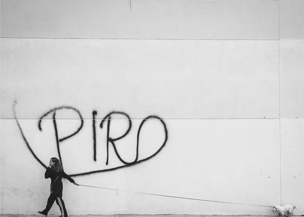 The Lady with the Dog - Poster / Art Print