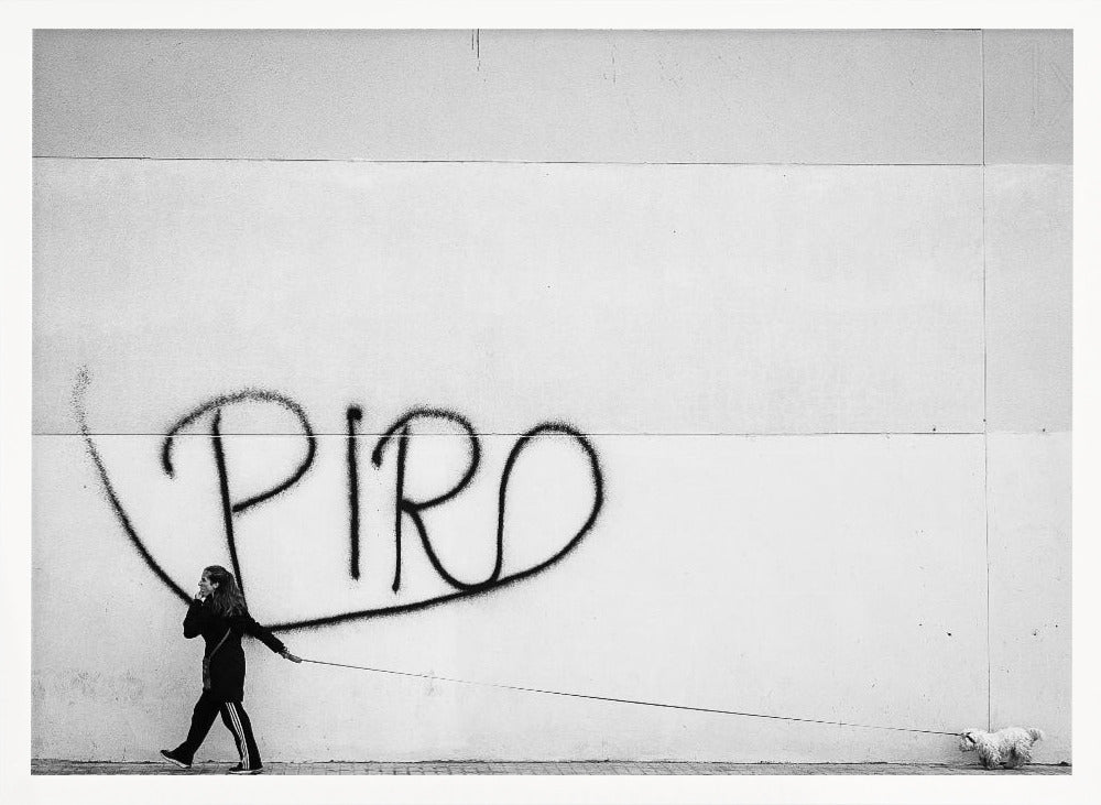 The Lady with the Dog - Poster / Art Print