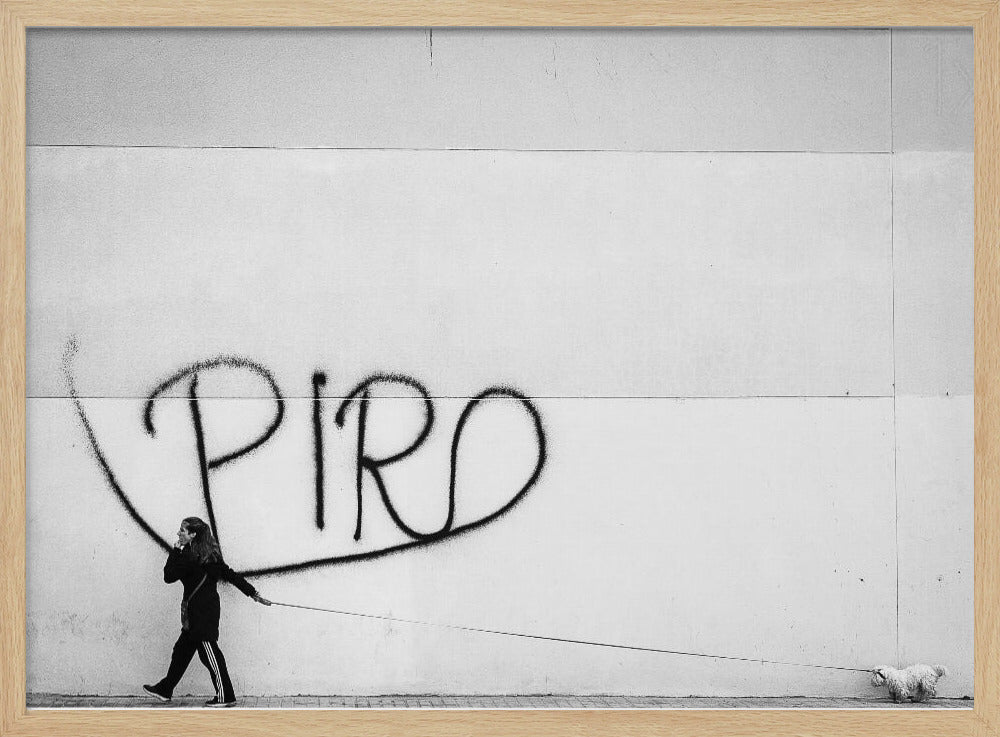 The Lady with the Dog - Poster / Art Print