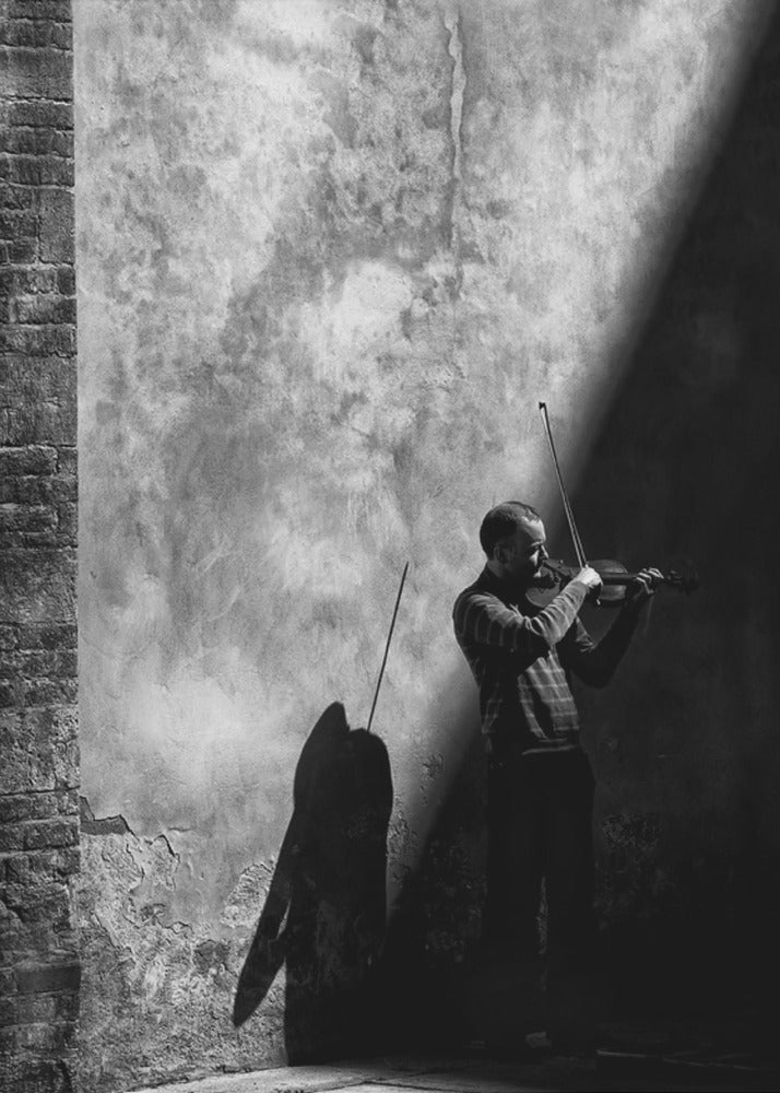 While the shadow comes - Poster / Art Print