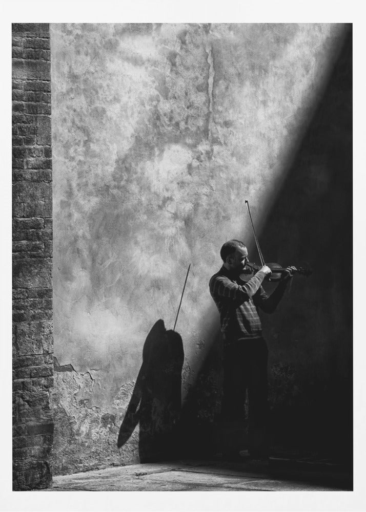 While the shadow comes - Poster / Art Print