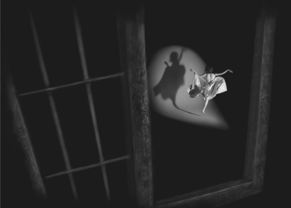 see my shadow - Poster / Art Print