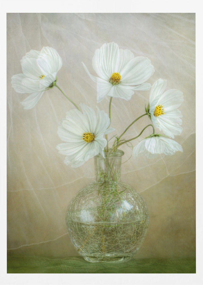 Cosmos breeze - Poster / Art Print