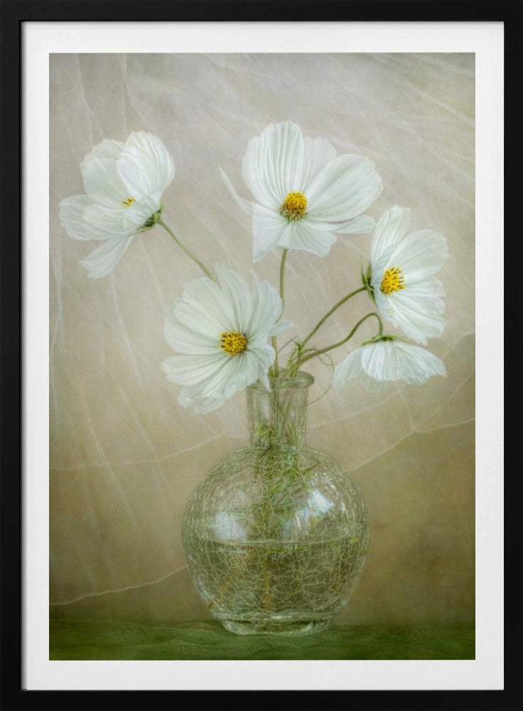 Cosmos breeze - Poster / Art Print
