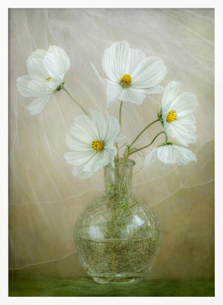 Cosmos breeze - Poster / Art Print