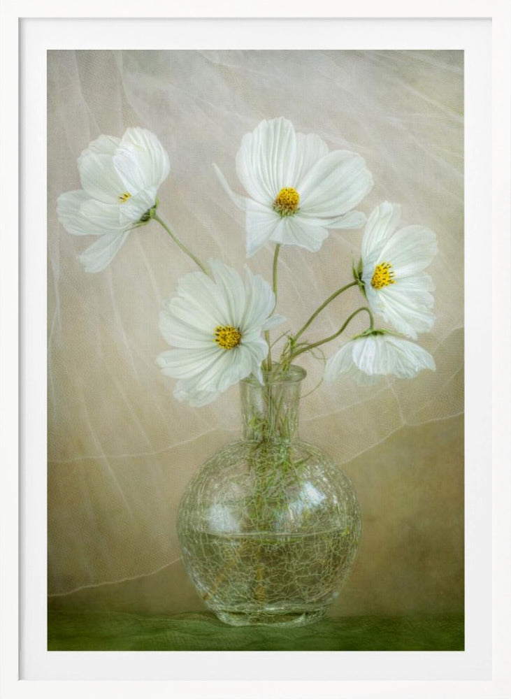 Cosmos breeze - Poster / Art Print