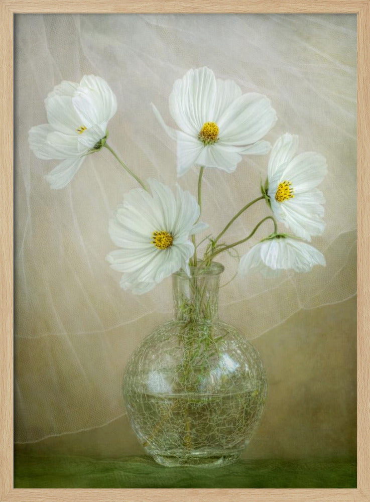 Cosmos breeze - Poster / Art Print