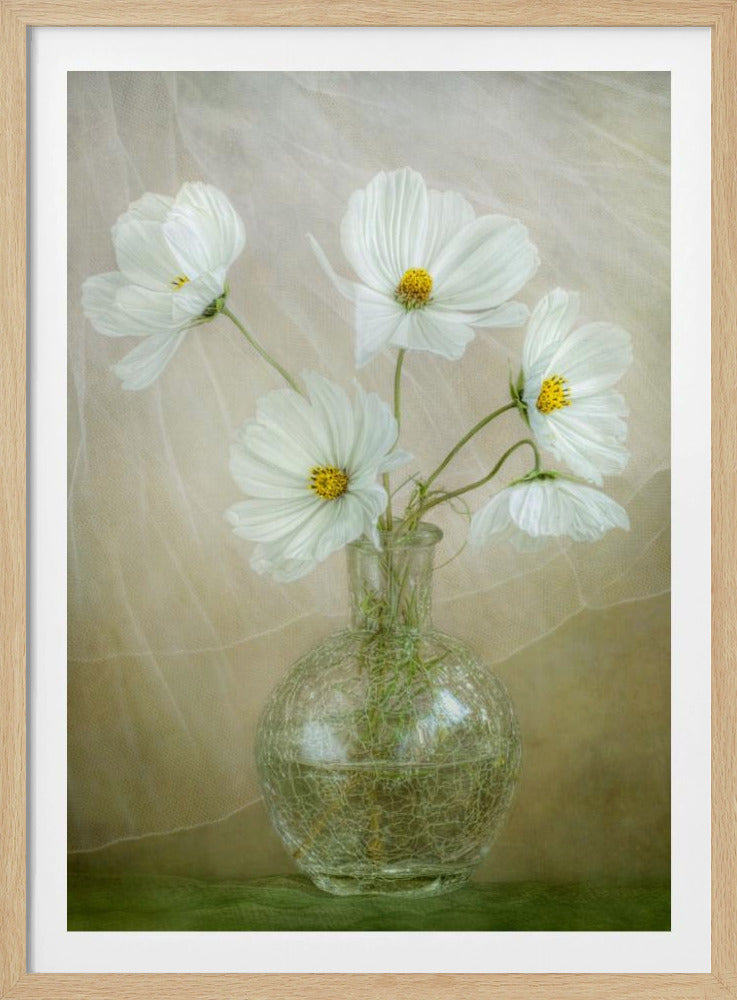 Cosmos breeze - Poster / Art Print