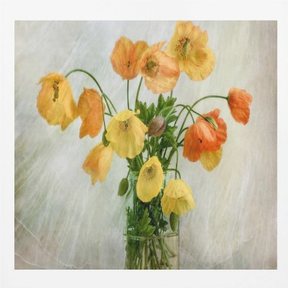 In the window - Poster / Art Print