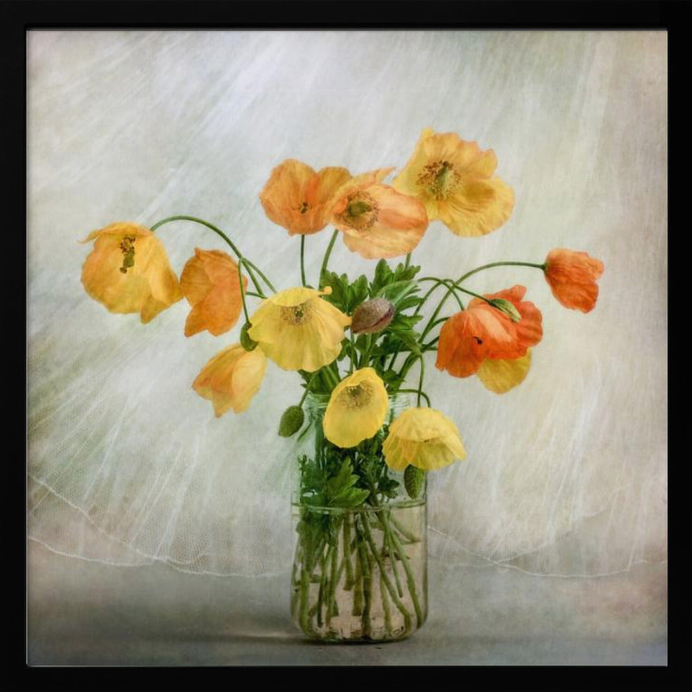 In the window - Poster / Art Print