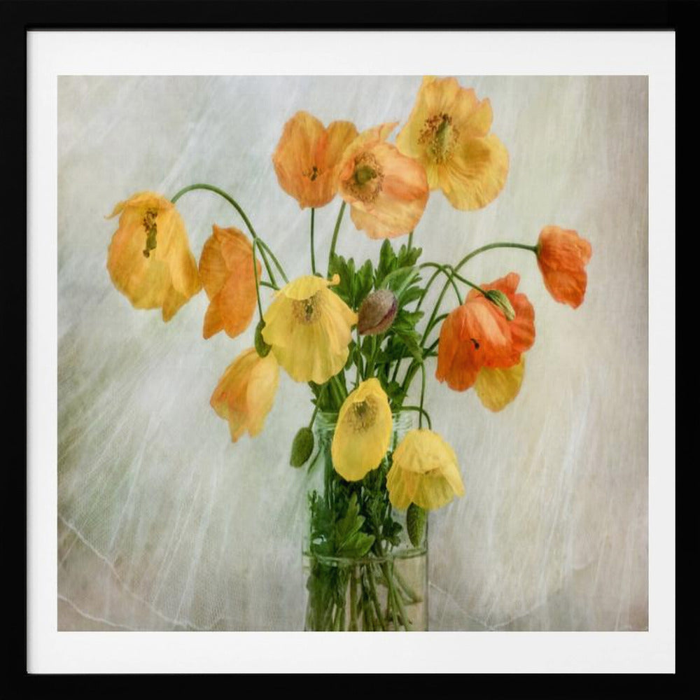 In the window - Poster / Art Print