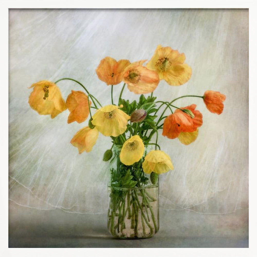 In the window - Poster / Art Print