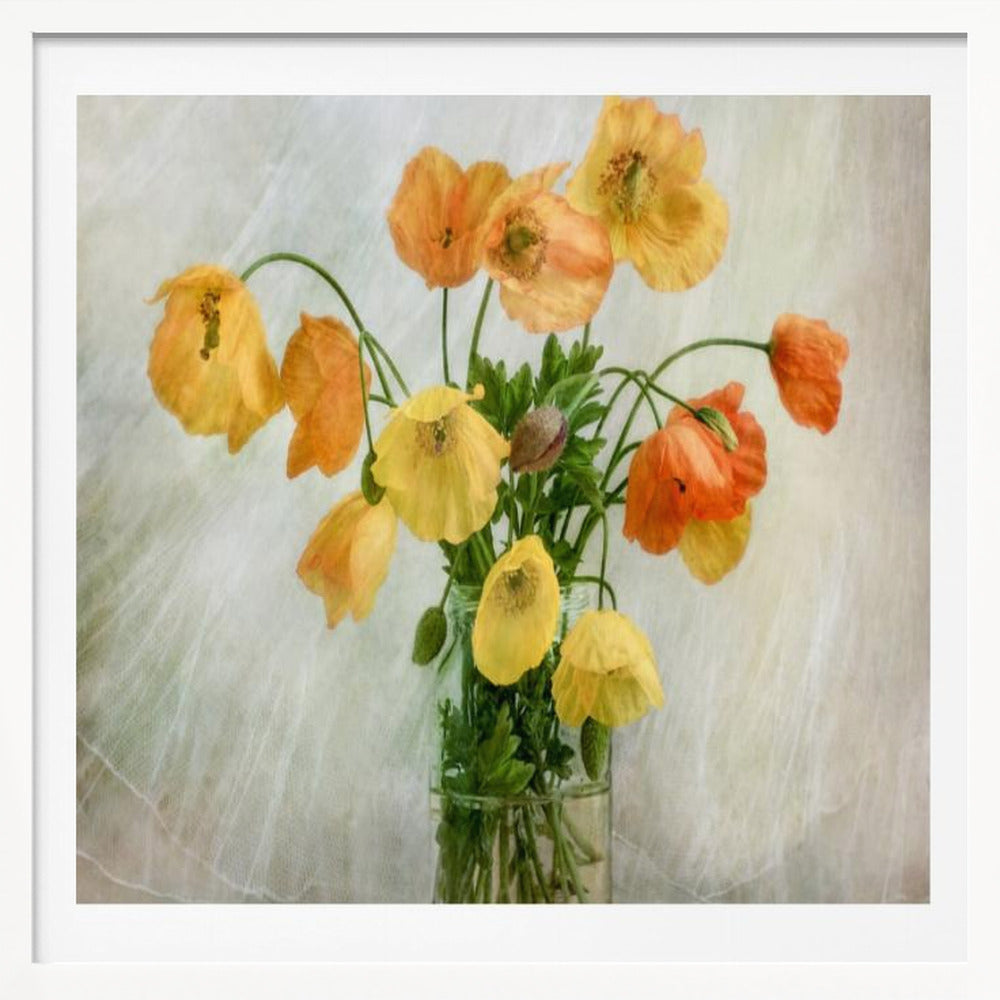 In the window - Poster / Art Print