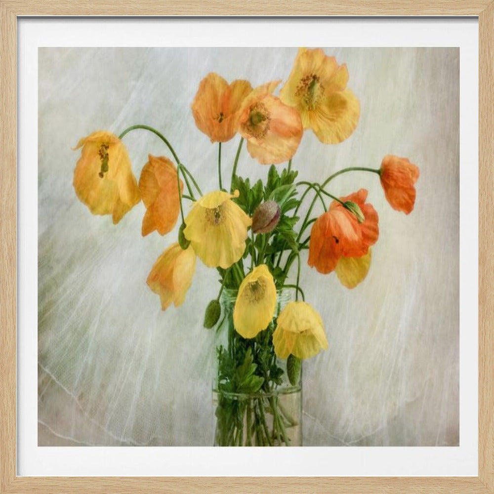 In the window - Poster / Art Print