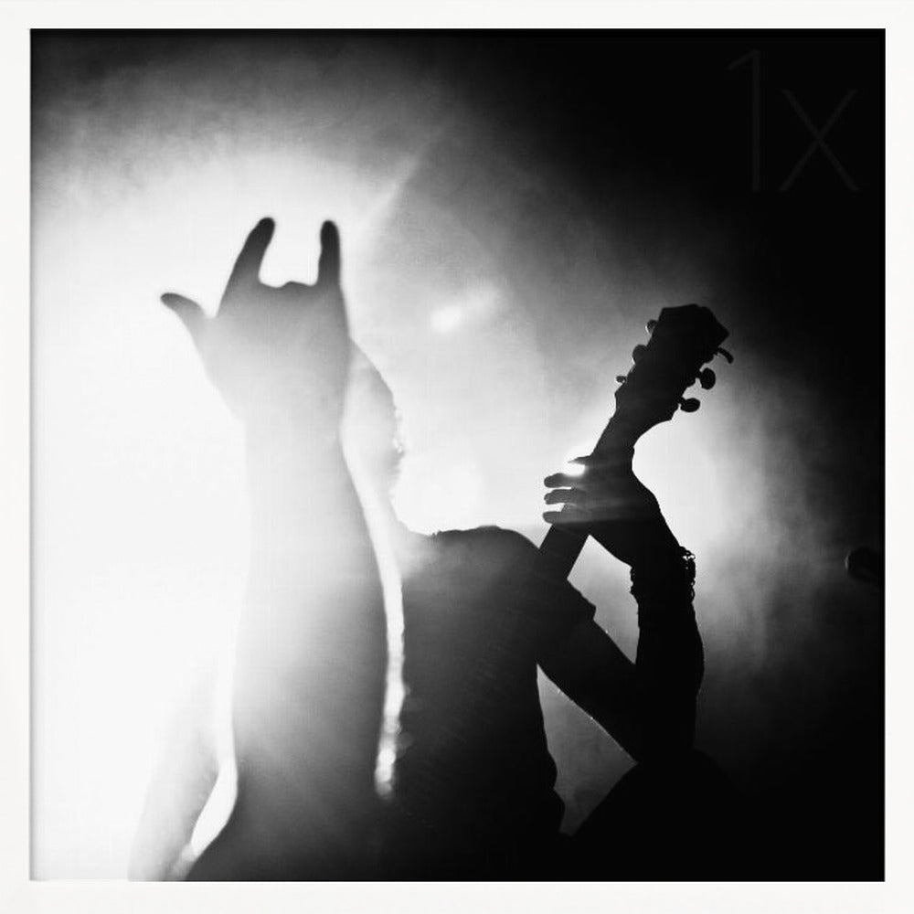 Mandragora - Poster / Art Print