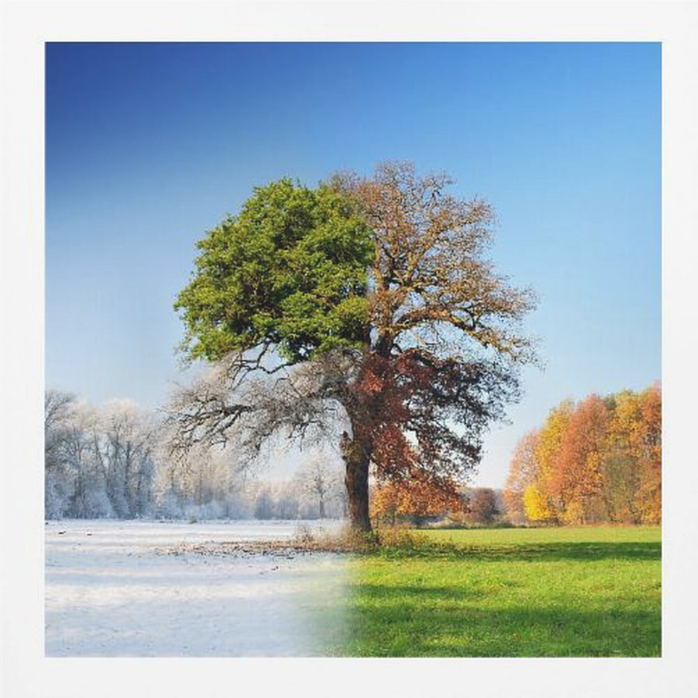 4 seasons - Poster / Art Print
