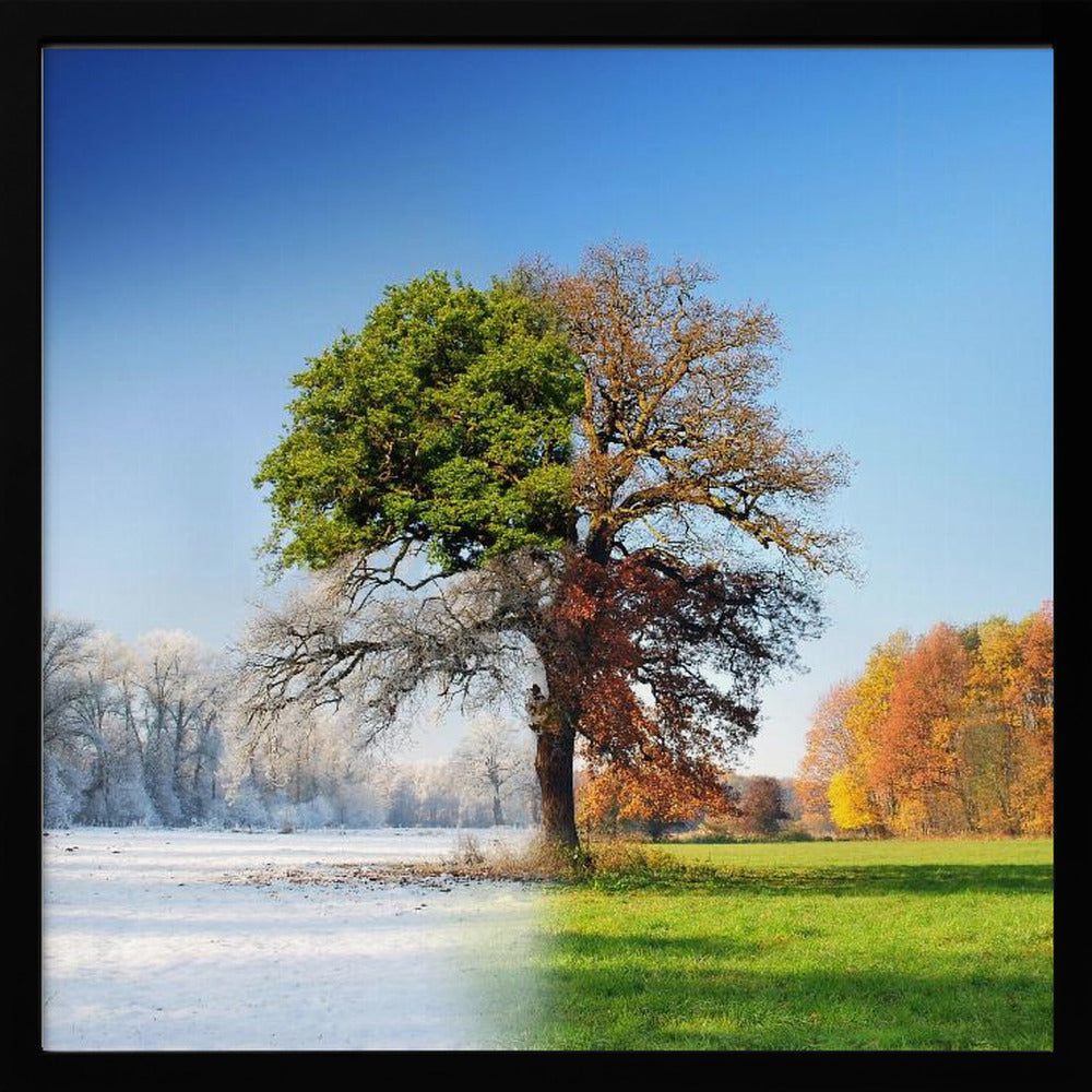 4 seasons - Poster / Art Print
