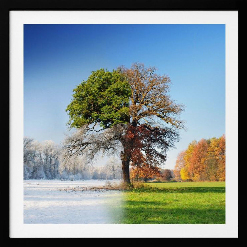 4 seasons - Poster / Art Print